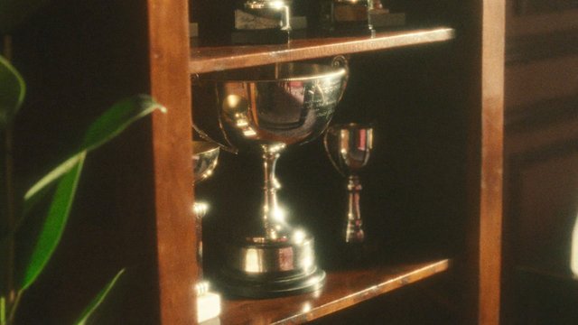 Video Reference: trophy, cup, award, shelf, wooden, metal, reflection, indoor, plant, still life, shiny, dark background
