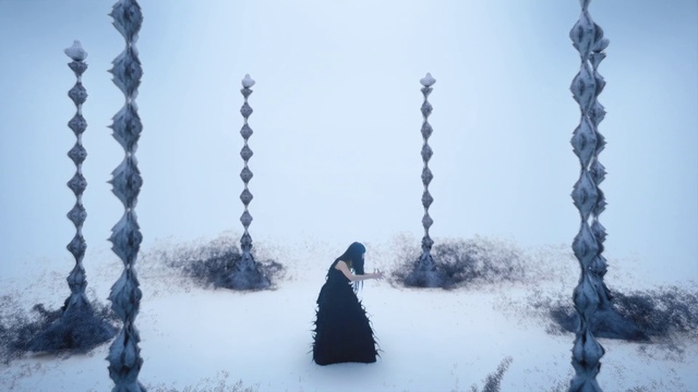 Video Reference: Snow, Plant, Branch, Freezing, Sky, Woody plant, Twig, People in nature, Winter, Wood