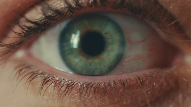 Video Reference: Brown, Photograph, Eye, Facial expression, Organ, Light, Green, Azure, Black, Human body
