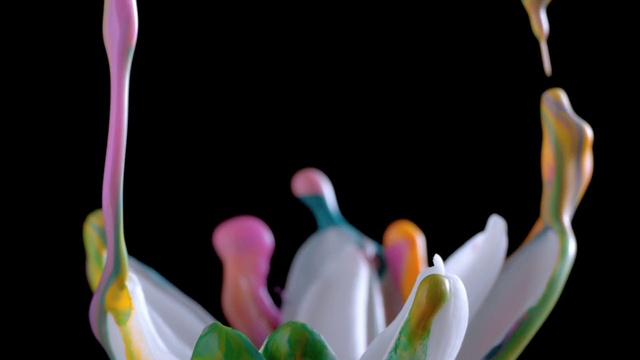 Video Reference: Flower, Plant, Botany, Petal, Terrestrial plant, Flowering plant, Pedicel, Close-up, Art, Macro photography