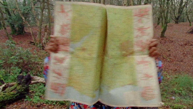 Video Reference: Plant, Wood, Terrestrial plant, Grass, Rectangle, Linens, Tree, Pattern, Trunk, Natural material