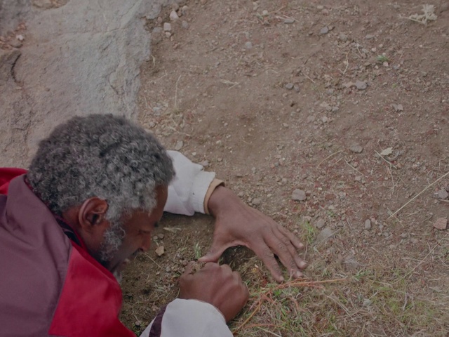 Video Reference: Gesture, People in nature, Grass, Groundcover, Foot, Human leg, Soil, Geology, Fun, Wrist