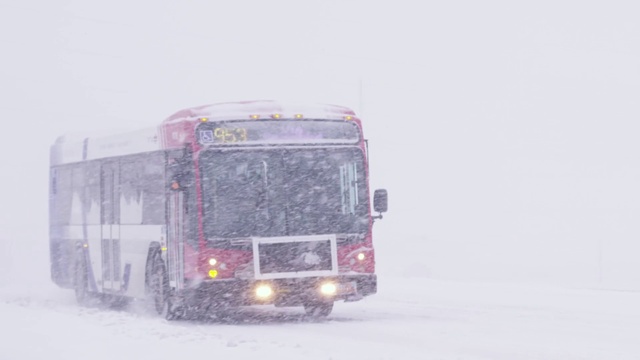 Video Reference: Bus, Automotive parking light, Tire, Wheel, Vehicle, Automotive tire, Motor vehicle, Automotive side marker light, Automotive lighting, Tread