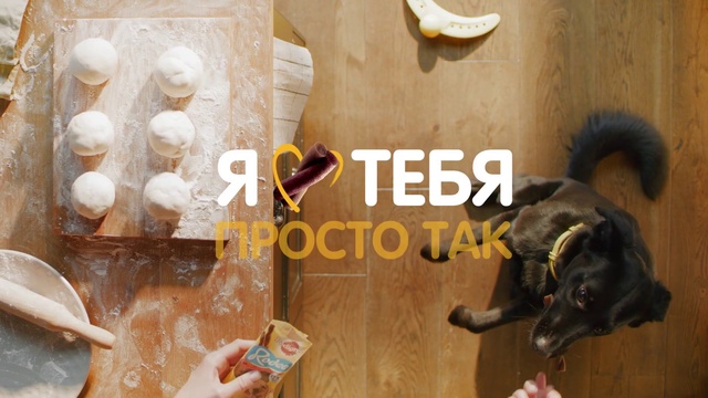 Video Reference: Dog, Carnivore, Yellow, Wood, Dog breed, Font, Flooring, Working animal, Companion dog, Snout