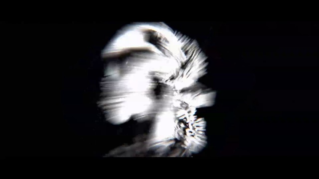 Video Reference: Head, Plant, Human body, Flash photography, Petal, Whiskers, Feather, Wing, Darkness, Font