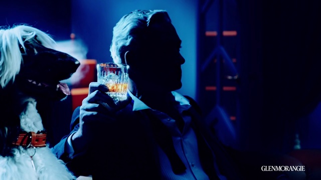 Video Reference: Blue, Purple, Entertainment, Jacket, Flash photography, Fun, Electric blue, Performing arts, Event, Music artist