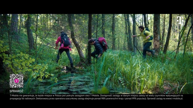 Video Reference: Plant, Plant community, Ecoregion, People in nature, Green, Natural environment, Natural landscape, Tree, Terrestrial plant, Grass