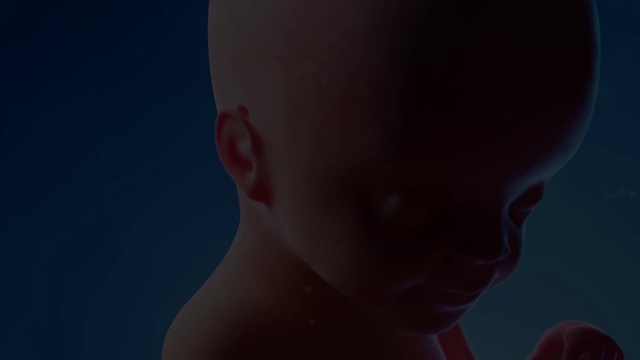 Video Reference: Nose, Lip, Eyebrow, Shoulder, Eyelash, Ear, Neck, Jaw, Cloud, Flash photography