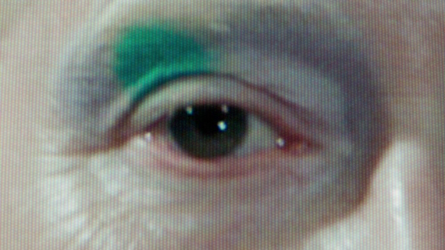 Video Reference: Eye, Eyelash, Iris, Art, Snout, Electric blue, Circle, Close-up, Macro photography, Transparent material