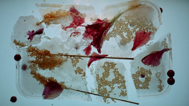 Video Reference: Food, Tableware, Ingredient, Dishware, Plate, Cuisine, Recipe, Dish, Liquid, Kitchen utensil