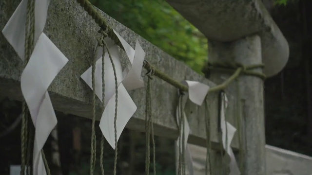 Video Reference: Wood, Twig, Grey, Plant, Grass, Bird, Facade, Pattern, Mesh, Metal