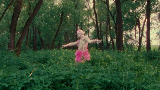 Video Reference: Plant, Green, People in nature, Human body, Tree, Natural landscape, Branch, Terrestrial plant, Happy, Dress