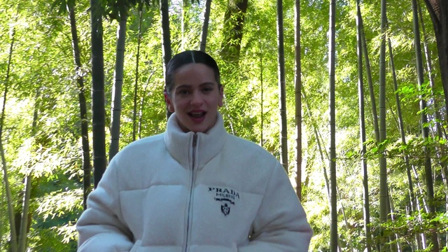 Video Reference: Tree, Sleeve, People in nature, Smile, Natural landscape, Terrestrial plant, Leisure, Happy, Trunk, Recreation