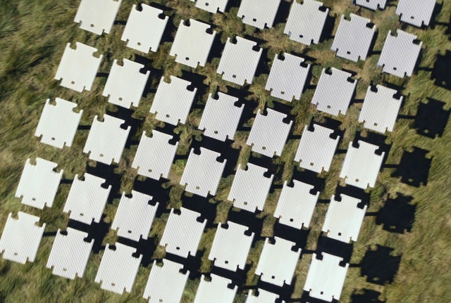 Video Reference: Building, Rectangle, Plant, Wood, Urban design, Font, Facade, Pattern, Grass, Symmetry