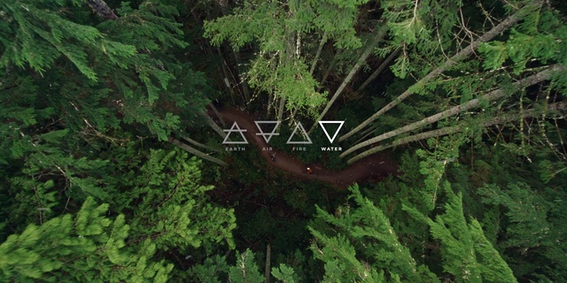 Video Reference: Plant community, Tree, Branch, Terrestrial plant, Plant, Natural landscape, Evergreen, Grass, Groundcover, Shrub