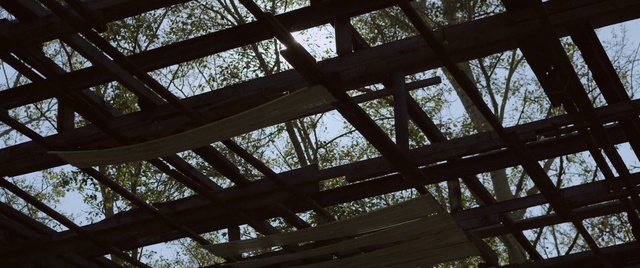 Video Reference: Nature, Fixture, Wood, Shade, Line, Natural material, Tints and shades, Sky, Trunk, Metal