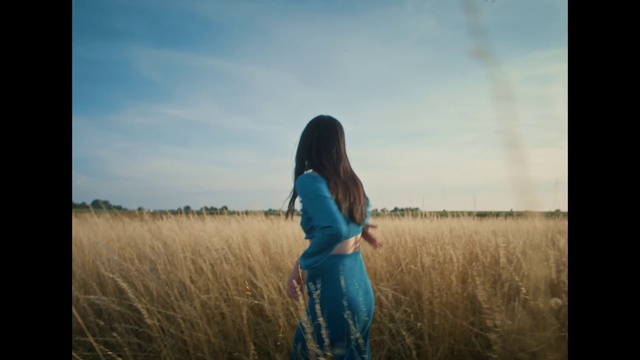 Video Reference: Sky, Flash photography, Cloud, Happy, Gesture, Sunlight, Natural landscape, Plant, Grassland, Grass