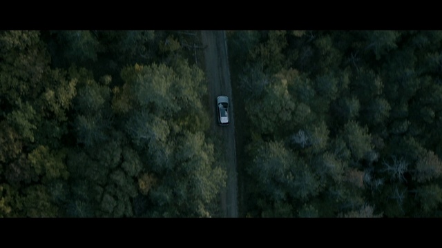 Video Reference: Plant, Automotive tire, Wood, Terrestrial plant, Font, Tints and shades, Rectangle, Grass, Tree, Road surface