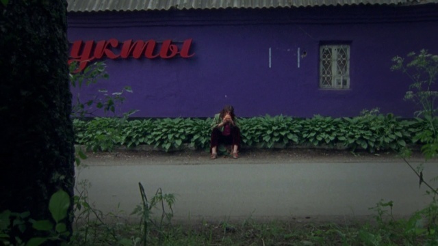 Video Reference: Plant, Land lot, Working animal, Tree, Landscape, Grass, Tints and shades, Agriculture, Leisure, Grassland