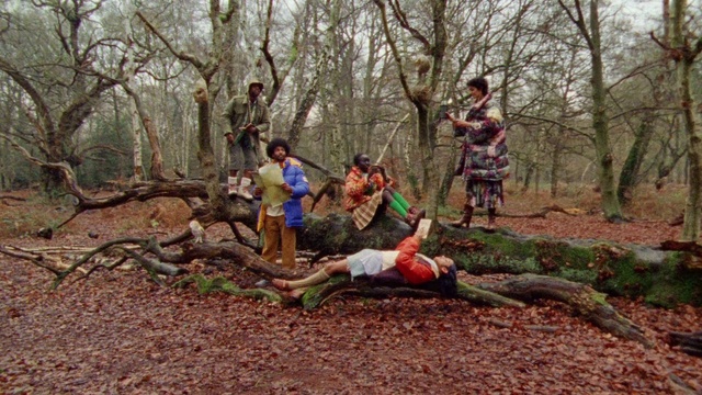 Video Reference: Plant, Plant community, People in nature, Tree, Wood, Grass, Natural landscape, Recreation, Leisure, Forest