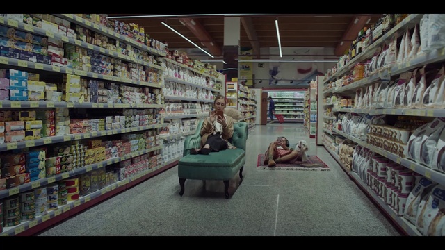 Video Reference: Shelf, Product, Shelving, Customer, Retail, Convenience store, Publication, Service, Building, Trade