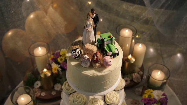 Video Reference: Food, Cake decorating, Cake, Cake decorating supply, Candle, Dress, Baked goods, Ingredient, Plant, Wedding cake