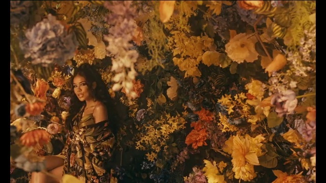 Video Reference: People in nature, Plant, Flash photography, Branch, Orange, Dress, Tree, Happy, Wood, Woody plant