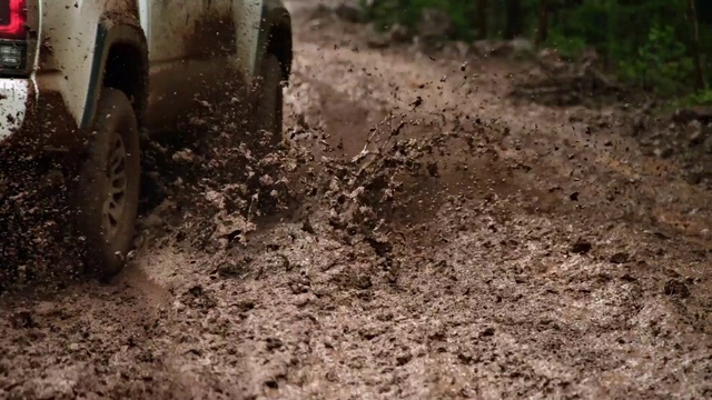 Video Reference: Tire, Wheel, Plant, Automotive tire, Tread, Vehicle, Fender, Grass, Wood, Landscape