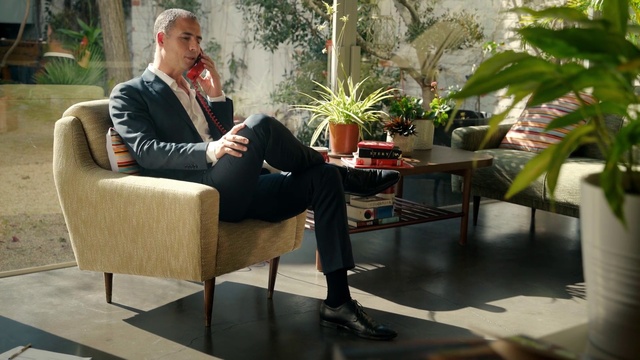 Video Reference: Plant, Furniture, Comfort, Houseplant, Table, Interior design, Flowerpot, Leisure, Blazer, Coffee table